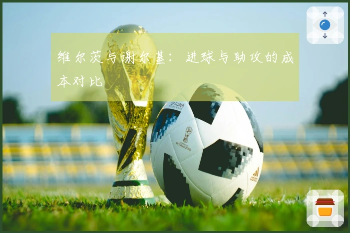 维尔茨与谢尔基：进球与助攻的成本对比