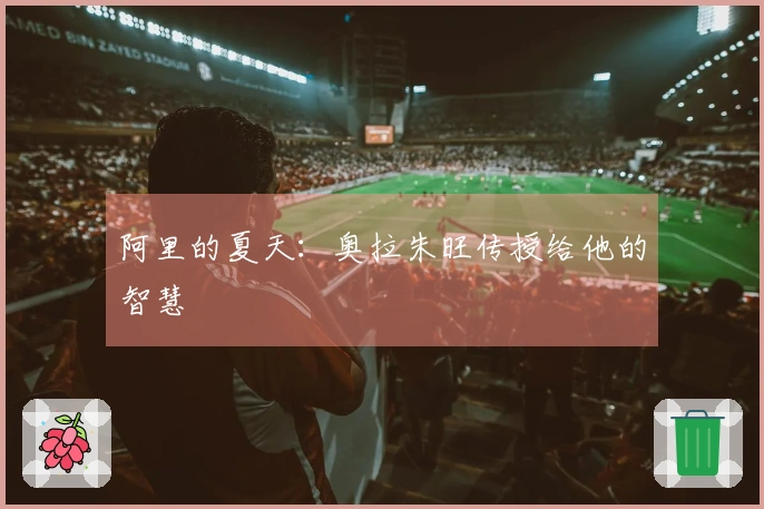 阿里的夏天：奥拉朱旺传授给他的智慧